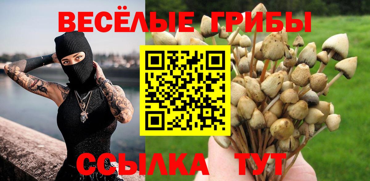 Псилоцибиновые грибы прущие грибы Сердобск