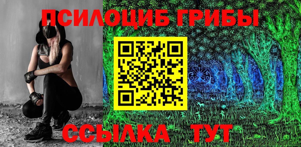 Сердобск  Псилоцибиновые грибы GOLDEN TEACHER  Вход с VPN 